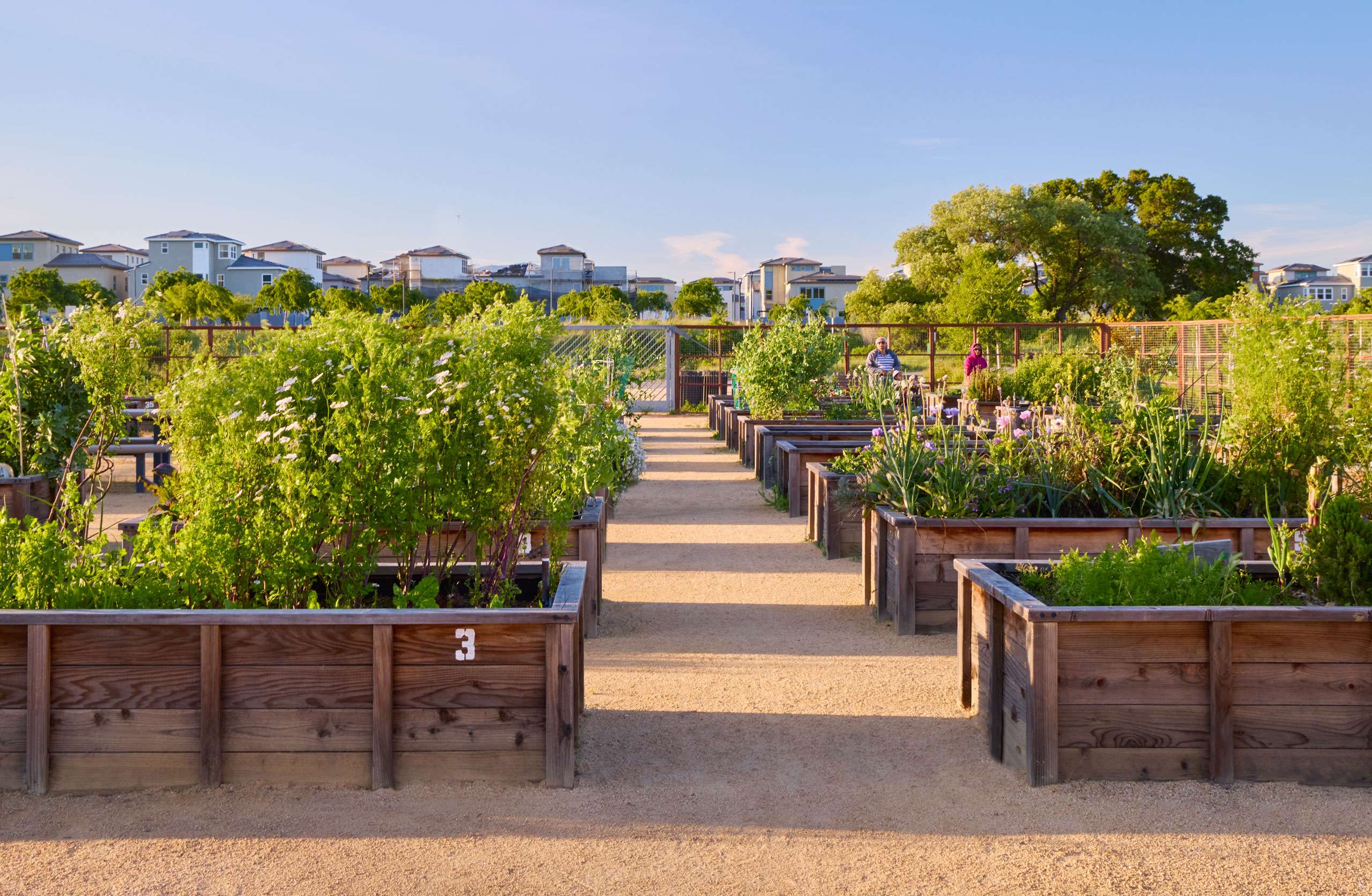 Don Biddle Community Park